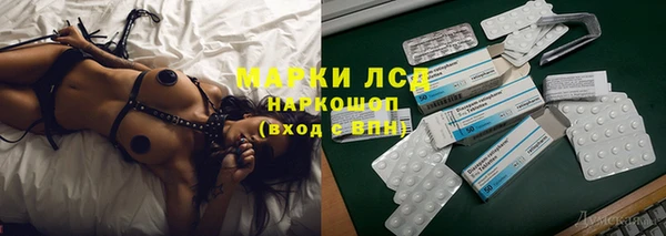 ГАЛЛЮЦИНОГЕННЫЕ ГРИБЫ Касимов