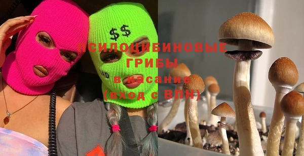 соль ск Карталы