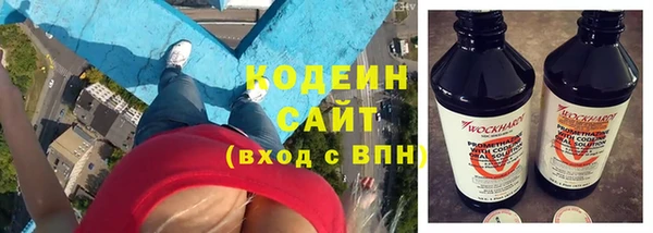 ГАЛЛЮЦИНОГЕННЫЕ ГРИБЫ Касимов