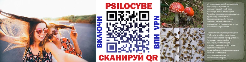 Галлюциногенные грибы GOLDEN TEACHER  Купить  Малая Вишера 